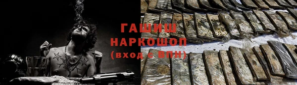 мдпв Новозыбков