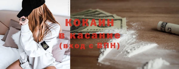 мдпв Новозыбков