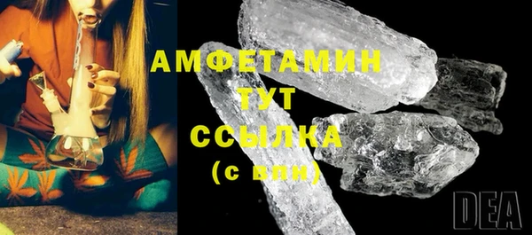 мдпв Новозыбков
