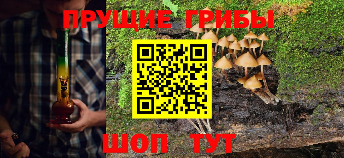 Галлюциногенные грибы мухоморы  цена   Братск  Вход с VPN 
