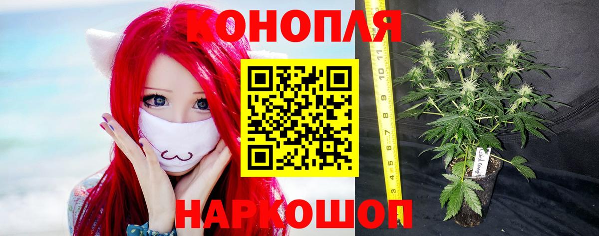 Конопля VHQ Братск